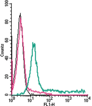 Cell surface detection of ADORA2A in live intact human Jurkat T-cell leukemia cells: