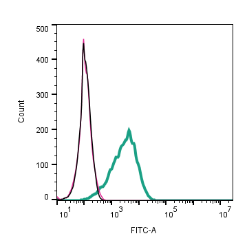 Cell surface detection of p75 NTR by indirect flow cytometry in live intact human A-875 Melanoma cells: