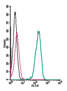 Cell surface detection of <span class="TextRun Highlight SCXW109045568 BCX0" lang="EN-US" xml: