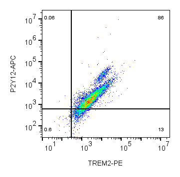 Cell surface multicolor flow cytometry analysis of live intact mouse BV-2 microglia cells with P2Y12 and TREM2: