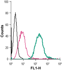 Cell surface detection of Sortilin in live intact mouse J774 macrophage cells: