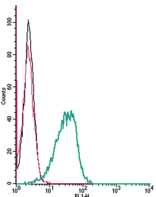 Cell surface detection of <span class="Text
