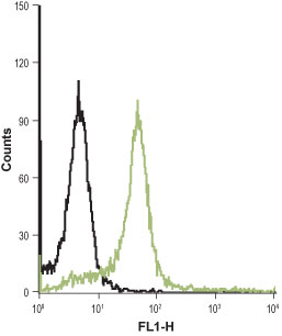 Cell surface detection of PAR-4 in live intact HL-60 (human promyelocytic leukemia) cell line:
