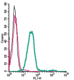 Cell surface detection of Orai1 by direct flow cytometry in live intact rat RBL-2H3 basophilic leukemia cells: