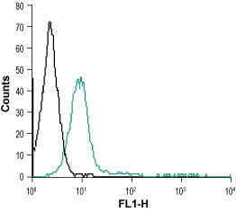 Cell surface detection of OPRM1 in intact living human T-lymphocyte (Jurkat) cells: