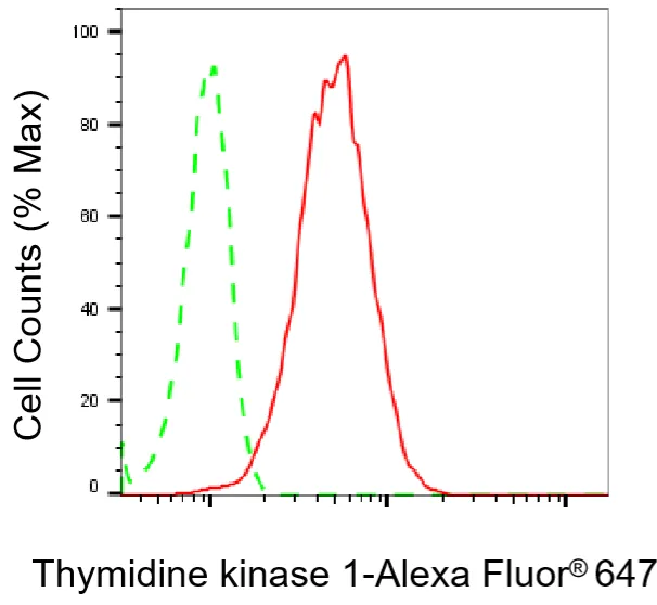 KVAb01263