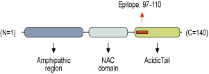 immunogen