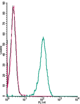 Cell surface detection of <span class="TextRun Highlight SCXW212418253 BCX8" lang="EN-US" xml: