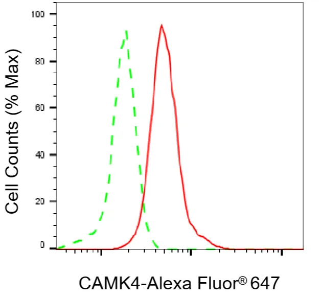 KVAb01124