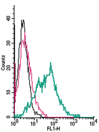 Cell surface detection of <span class="TextRun Highlight SCXW191470446 BCX0" lang="EN-US" xml: