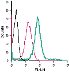 Cell surface detection of TrkA in live intact human THP-1 monocytic leukemia cells: