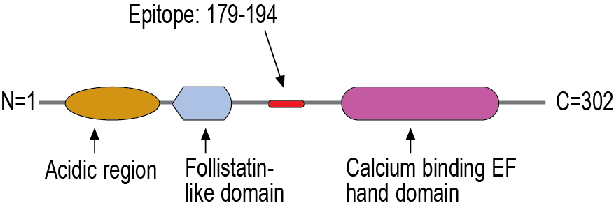 immunogen