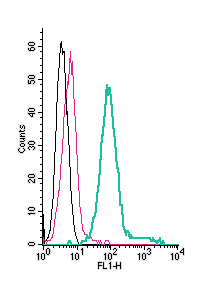 Cell surface detection of Ret receptor by direct flow cytometry in live intact mouse J774 macrophage cells:
