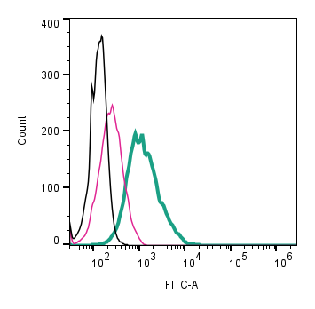 Cell surface detection of Alpha-1A adrenergic receptor by direct flow cytometry in live intact mouse J774 macrophage cell line: