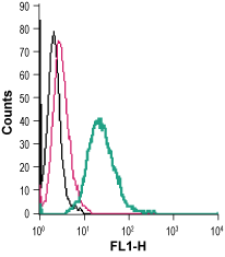 Cell surface detection of TrkA in live intact mouse J774 macrophage cells: