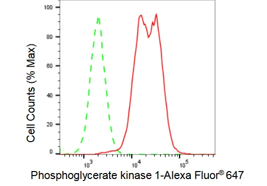 KVAb01495