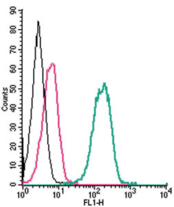 Cell surface detection of P2X7 Receptor by indirect flow cytometry in live intact human THP-1 monocytic leukemia cells:
