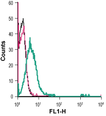 Cell surface detection of AT 1 receptor in live intact human Jurkat T-cell leukemia cells: