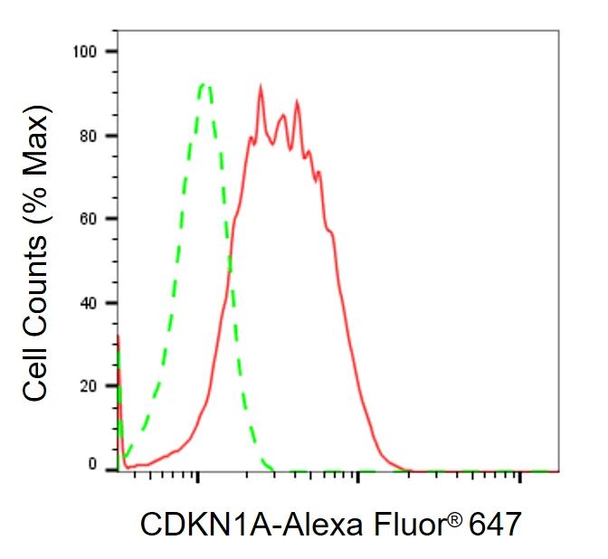 KVAb01340