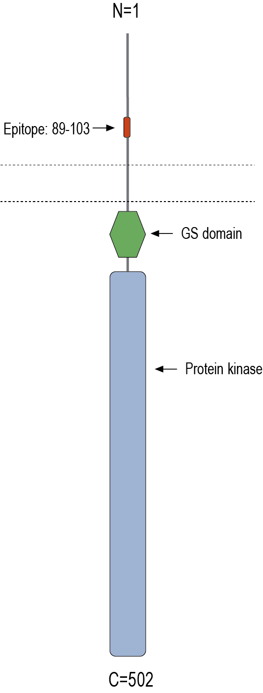 immunogen
