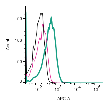 Cell surface detection of β 2 -Adrenergic Receptor by direct flow cytometry in live intact human Jurkat T-cell leukemia cell line: