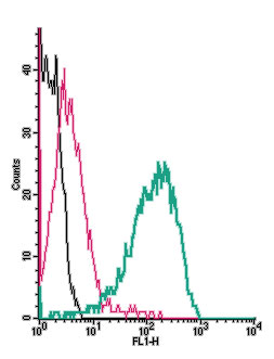 Cell surface detection of p75 NTR by indirect flow cytometry in live intact rat PC12 pheochromocytoma cells: