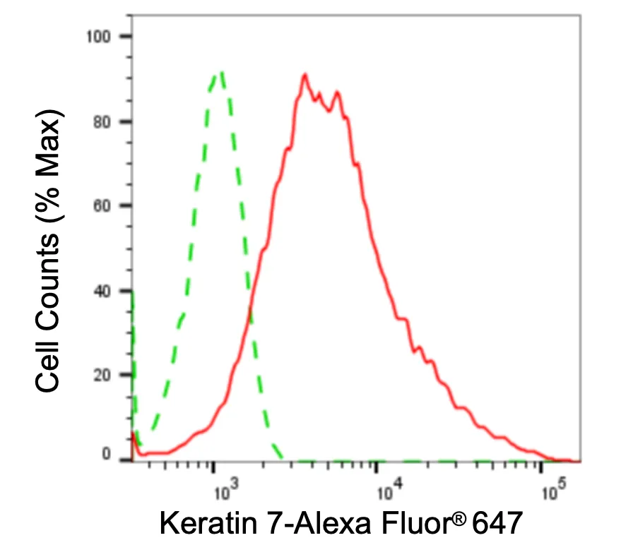 KVAb00816