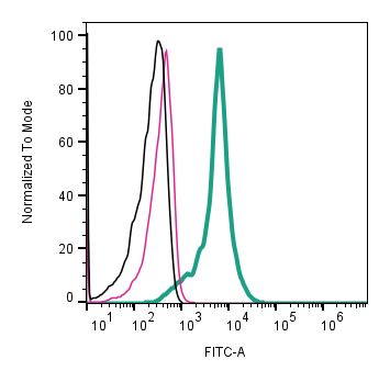 Cell surface detection of CD63 by indirect flow cytometry in BV-2- derived exosomes :