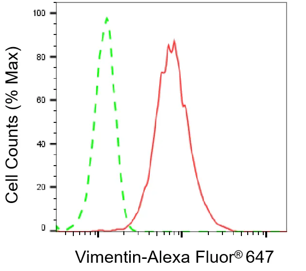 KVAb01455