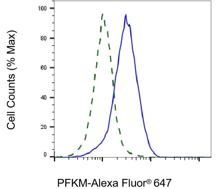 KVAb01496
